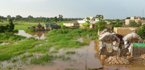 Un centre de suivi écologique mis en place pour les zones inondées