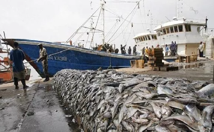 Pêche - Accord de partenariat Sénégal-UE  : Moins de 7 milliards FCfa reçus par le Sénégal, entre 2019 et 2024