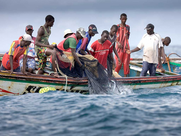 Pêche illégale : Un total de 548,5 millions FCfa d’amendes recouvrées en 2024