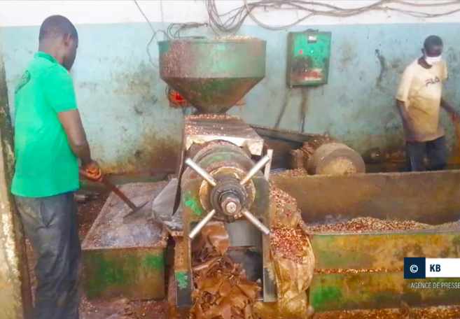 Touba : des professionnels de l’agroalimentaire réclament une usine de raffinage de l’huile d’arachide