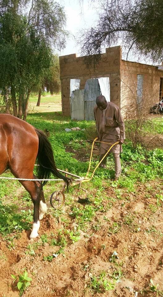 Les photos du ministre Aly Ngouille Ndiaye diversement appréciées sur la toile