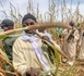 Tribunal de Dakar : Serigne Abo Mbacké, fils de Serigne Cheikh Saliou, au chevet de Samuel Sarr