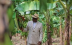 Photos : Visite du Président Macky Sall dans les plantations de banane (200 ha) de Mamadou Sall et de CORPROBAT á Laboya (Tambacounda)