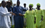 Tout va très bien au Sénégal, Merci !