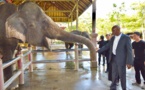 Photos: visite d'étude et travail de Serigne Mbaye Thiam en Thailande, à l'invitation de l'Agence thaïlandaise de Coopération internationale