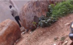 Rond-Point Case-Bi, Colobane, Marché liberté VI, Stade Léopold Sédar Senghor… Bienvenue dans les plus grands urinoirs à ciel ouvert de Dakar