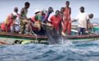 Ziguinchor : les mareyeurs et les autorités à couteaux tirés à cause du mémorial du «Joola »