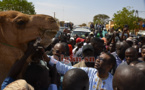 30 photos : Youssou Ndour honoré par les populations de Ndioum