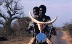 Vidéo : le film "Touki Bouki" de Djibril Diop Mambéty 1973