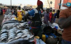 Au coeur du marché aux poissons (Parcelles Assainies)