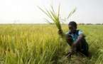 L’activité économique interne sénégalaise enregistre une croissance de 2,9 %