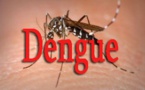 Dengue à Fatick: les malades passent de 6 à 8