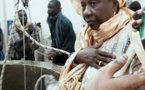 Comment Touba a géré le rappel à Dieu de Sokhna Baly Mbacké durant le Magal.