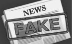 La lutte contre les FAKE NEWS: comment s’y prendre ?