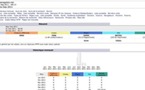 Echec patent du portail lancé par Karim Wade : lesenegalais.com peine à dépasser 1000 visiteurs par jour (Document)