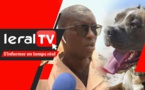 VIDEO - Oumar Ndiaye, sous-préfet de Pikine: "Le propriétaire du pitbull sera déféré au parquet..."