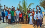 PHOTOS - Programme de remplacement des palmiers de la Corniche avec le ministre Abdou K. FOFANA et l’association Ecolibri