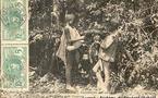 Haute-Guinée: Cueillette du caoutchouc, saignée des lianes