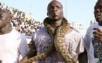 Ndéye Ndack, Ama Baldé et les serpents