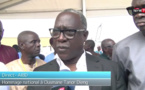 VIDEO - Pathé Ndiaye: "Ousmane Tanor Dieng et moi, avons fait 30 ans à..."