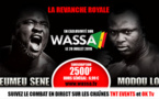 Modou Lô vs Eumeu Sène : Le combat diffusé exclusivement sur Tnt et Wassa TV