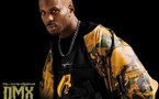 Vidéo : DMX agressé sur scène