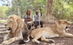 PHOTOS - Vacances gouvernementales : Aly Ngouille Ndiaye cherche la force chez les..lions avec sa famille