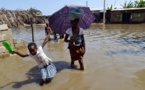 Bambilor: L'enfant porté disparu, finalement retrouvé