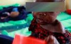 CRISE ALIMENTAIRE ET NUTRITIONNELLE AU SAHEL / 800 mille Sénégalais menacés de famine