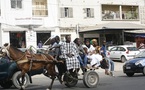 Le charretier tue le policier