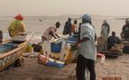 VIDEO : Les pêcheurs, oubliés de la campagne présidentielle