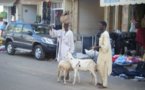 Chronique de DIA SECK - Dakar : capitale des ruralités urbaines