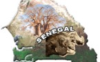 LE SENEGAL, UN PAYS PAUVRE ?