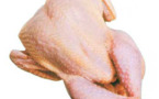 «  Non » à l’importation du poulet américain.