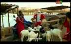 "Pa kouy"du vendredi 02 Novembre 2012 [Rts1]