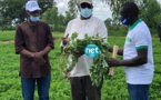 VIDEO - Macky Sall rend visite aux populations de Nioro du Rip 