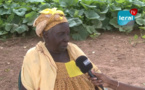 VIDEO: Le village de Santhiou Ibrahima Touré réclame de l'électricité et un district sanitaire