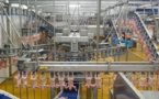 Une usine de production de poulets installée à Fatick