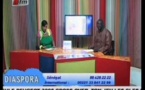 "Diaspora" du lundi 1 Juillet 2013 (Invité: Moussa Ngom)