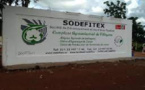 Bonne nouvelle pour les travailleurs de la Sodefitex: La Direction générale renonce à la fermeture de l’usine de Kolda