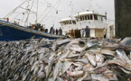 254.770 tonnes de déchets en mer par an, farine de poisson en quantité, surexploitation…: Les eaux marines sénégalaises, en sursis