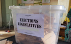 Législatives du 31 juillet 2022 : « Aujourd’hui, l’opposition sait qu’elle peut gagner les élections… », Mamadou Diouf, Pr d’Histoire