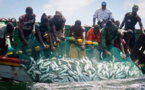 Pour soigner les maux de la pêche : L‘Unapas réclame des assises au Président Macky Sall