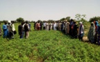 Zones Nord et Centre : Un programme d’amélioration de la connectivité des zones agricoles, bientôt lancé