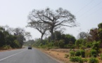 Fermeture de l’aéroport de Ziguinchor : Une sécurité maximale exigée sur l’axe Ziguinchor / Cap-Skirring