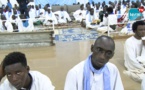 Gamou Taïf: Malgré les fortes pluies, les fidèles ont répondu à l'appel de S.M. Mbacké Mouhammad