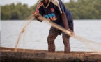 Drame : Un pêcheur porté disparu dans le fleuve Casamance