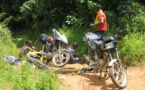 Vélingara : Sept conducteurs de moto arrêtés à la frontière avec la Guinée pour trafic de passagers