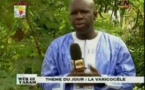 Exercice illégal de la médecine: Les médecins traînent Serigne Samba Ndiaye de la SenTv à la barre