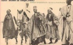 Un reportage inédit sur "Nguelemou", le cheval de Serigne Touba.